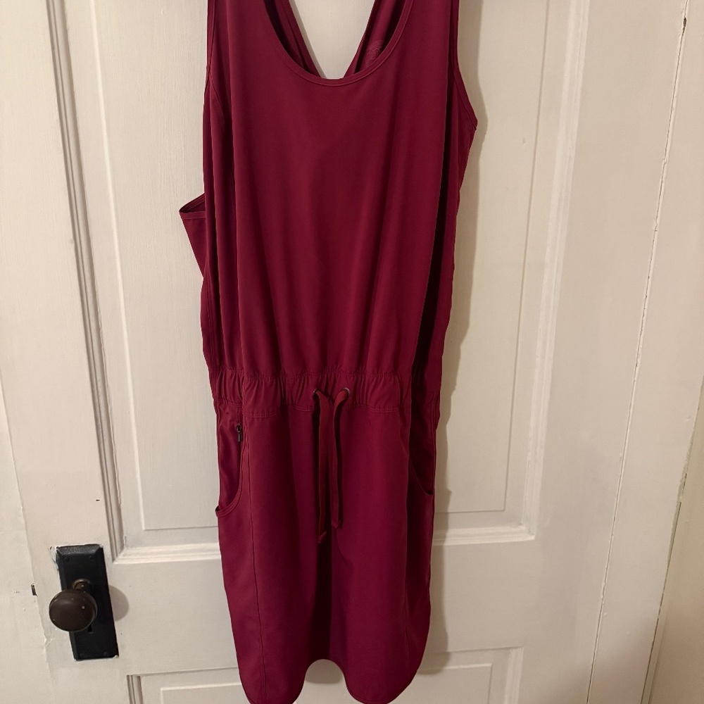 Patagonia Women's Dress (Size Small)